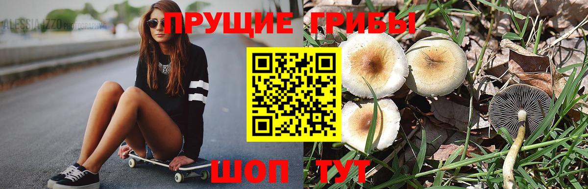 Псилоцибиновые грибы прущие грибы Чусовой